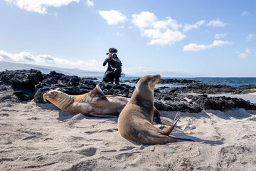 The Galapagos Islands are a volcanic archipelago in Ecuador, the first to be designated a World...