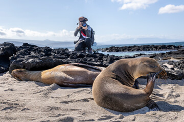 The Galapagos Islands are a volcanic archipelago in Ecuador, the first to be designated a World...