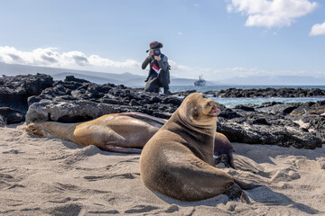 The Galapagos Islands are a volcanic archipelago in Ecuador, the first to be designated a World...