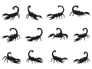 SCORPION SILHOUETTE WHITE BACKGROUND