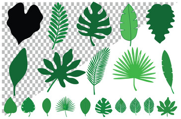 Green leaves vector set with floral pattern and seasonal design elements