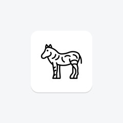 Zebra, vector, pixel perfect, illustrator file