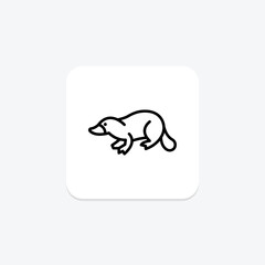 Platypus, vector, pixel perfect, illustrator file