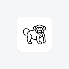 Fototapeta premium Chimpanzee, vector, pixel perfect, illustrator file