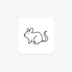 Chinchilla, vector, pixel perfect, illustrator file