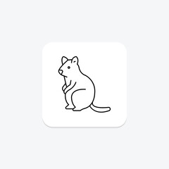 Quokka, vector, pixel perfect, illustrator file