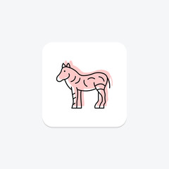 Zebra, vector, pixel perfect, illustrator file