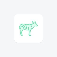 Bongo, vector, pixel perfect, illustrator file