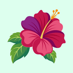 Stylized hibiscus flower with red and purple petals on light green background