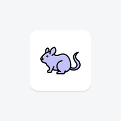 Chinchilla, vector, pixel perfect, illustrator file