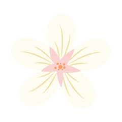 Soft yellow floral corner frame with leaves and petals. Ideal for invitations, wedding cards, and elegant design projects needing a gentle, nature-inspired touch.