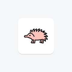 Echidna, vector, pixel perfect, illustrator file