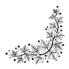Elegant Hand-Drawn Botanical Vine Corner Decoration Vector