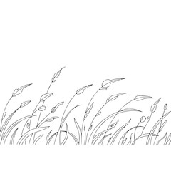 Minimalist Line Art of Windblown Grass Border on White Background