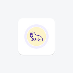 Fototapeta premium Walrus, vector, pixel perfect, illustrator file