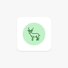 Gazelle, vector, pixel perfect, illustrator file