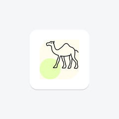 Camel, vector, pixel perfect, illustrator file