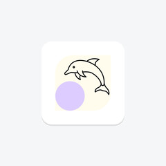 Dolphin, vector, pixel perfect, illustrator file