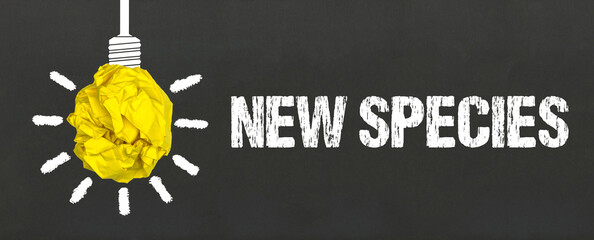 New Species	
