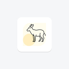 Okapi, vector, pixel perfect, illustrator file
