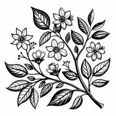 black and white flowers elements