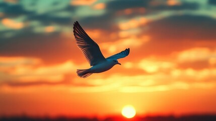 Fototapeta premium bird flying freely in the vast colorful sunset sky a symbol of freedom and peace soaring through the air with wings outstretched beautifully