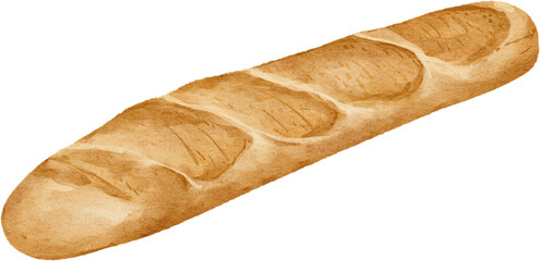 watercolor baguette bread