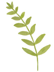 Cute minimal Flowers