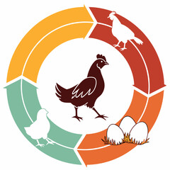  Gradient Style Chicken Egg Evolution Chart