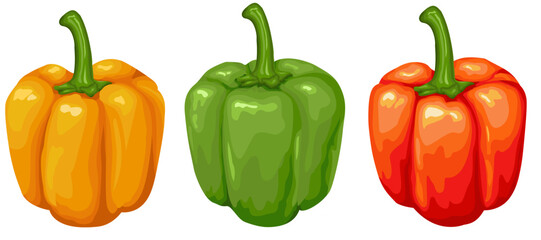 Vector illustration set of bell peppers, sweet peppers, orange, green and red on white background.