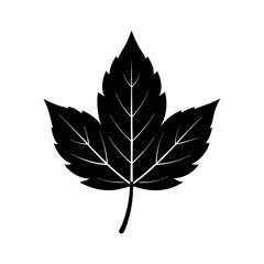 stem tree leaf vector silhouette illustration