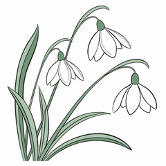 black and white flowers in a white background