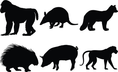 Collection of Animal Silhouettes Baboon Armadillo Fox Porcupine Pig Cheetah Wildlife Vector Graphics