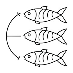 Minimalist pisces zodiac sign illustration three fish in outline style astrological symbol white background