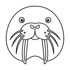 Walrus head outline illustration simple animal design marine life vector drawing cute arctic mammal graphic