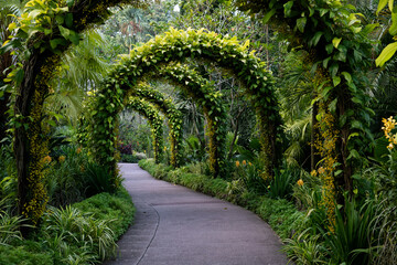 Paved path and ivy covered arches through the National Orchid Garden botanical park in Singapore.