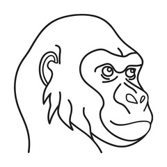 Gorilla head outline monochrome vector illustration graphic design primate animal silhouette drawing jungle wildlife conservation
