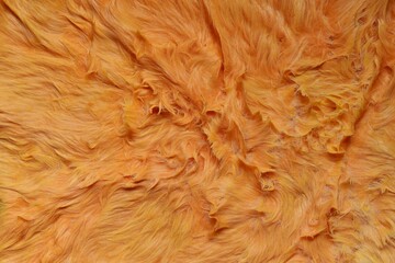 fox fur texture