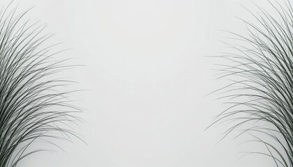 Obraz premium Calm nature scene with grass minimalist indoor space still life photography soft lighting aesthetic viewpoint tranquility concept for relaxation