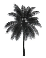 stylized tropical palm tree silhouette, bold graphic form, 