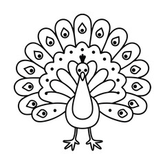 Elegant peacock outline illustration minimalist design perfect for coloring books and creative projects