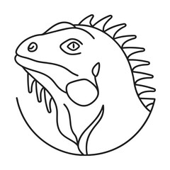 Minimalist line art of iguana head profile exotic reptile simple outline drawing