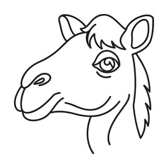 Minimalist outline of a camel head detailed vector illustration of a single hump animal