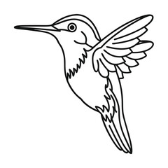 Hummingbird outline illustration flying bird minimalist black and white vector art simple bird design