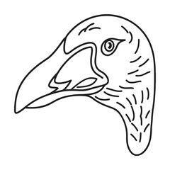 Line art illustration of a toucan bird profile head with detailed feathers and a large beak