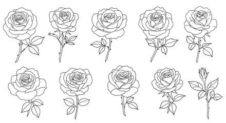 Rose Flower Icon Collection