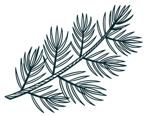 Simple Line Art Illustration of a Pine Fir Branch
