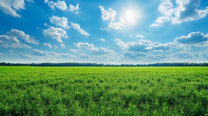 A vibrant green field under a bright blue sky filled with fluffy white clouds and a shining sun above trees