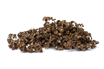 Dried fleshy fruit stalks of Hovenia dulcis or oriental raisin tree sprig. Asian food ingredient