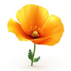 Vibrant orange California poppy in full bloom.